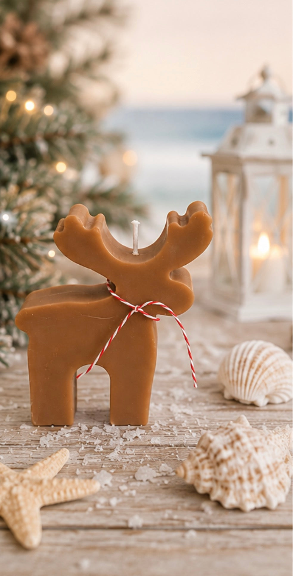 Christmas moose